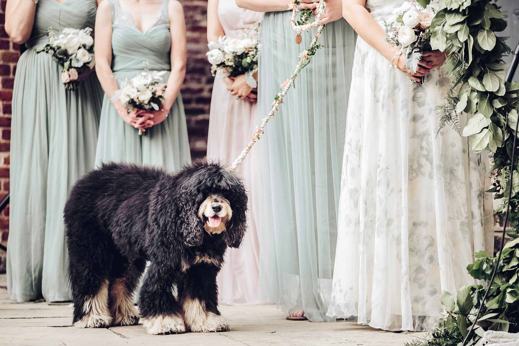 Boho Bride with dog and bridesmaids
